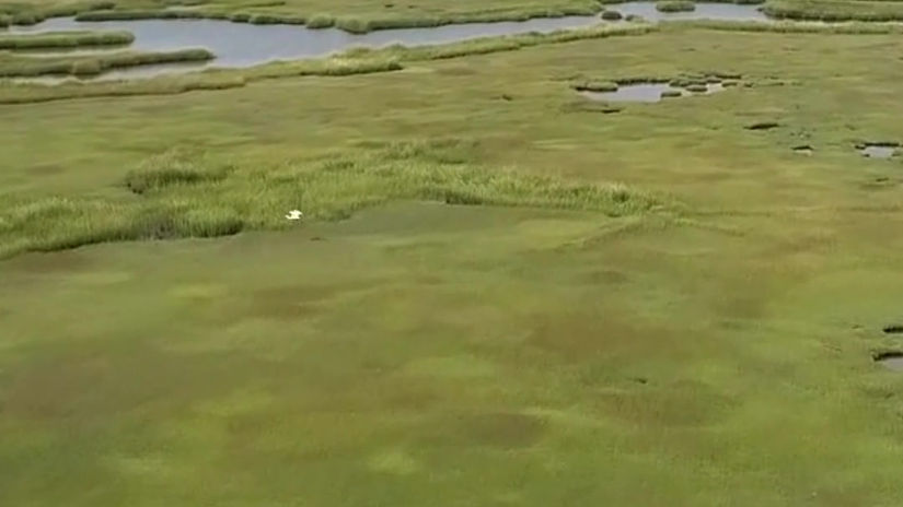 Estuaries Week